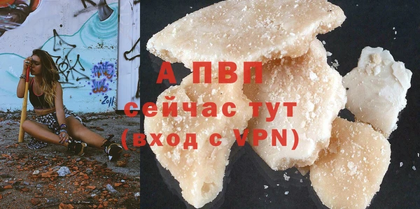 mdpv Елизово