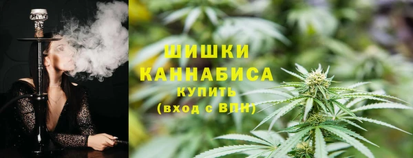соль ск Елабуга