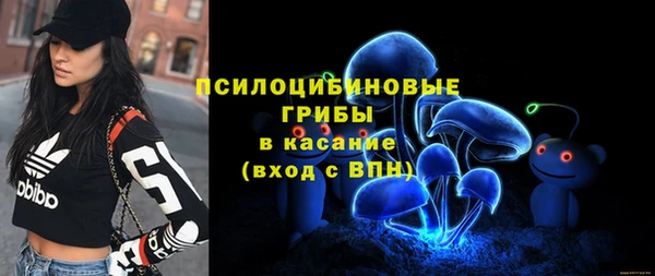 дживик Гусиноозёрск