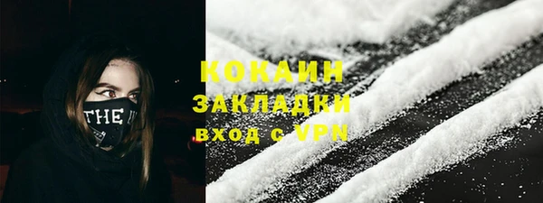 тгк Гусев