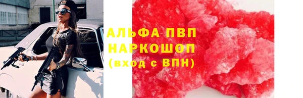 тгк Гусев