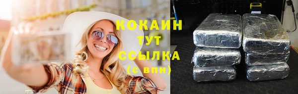 соль ск Елабуга
