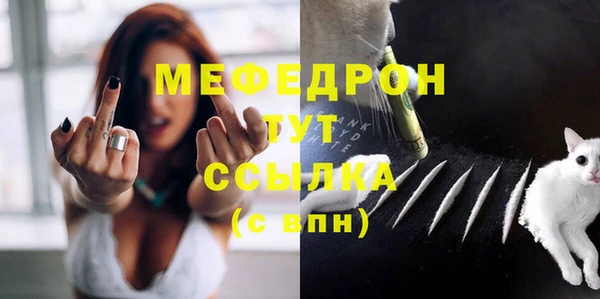 твердый Ельня