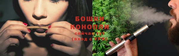 твердый Ельня