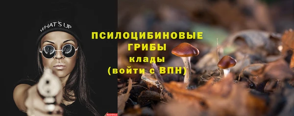 тгк Гусев