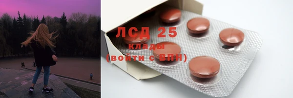 твердый Ельня
