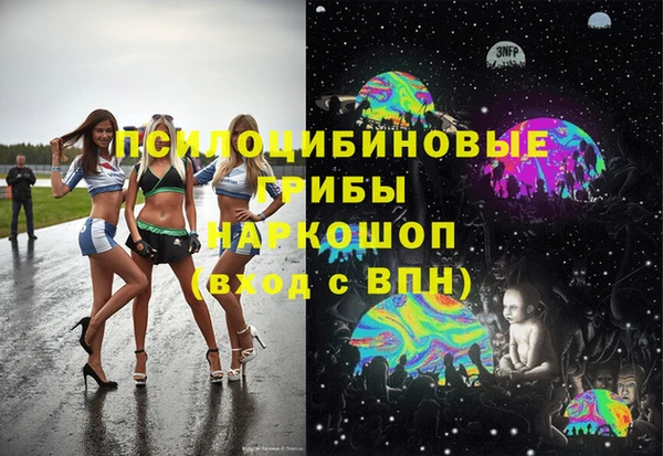 дживик Гусиноозёрск