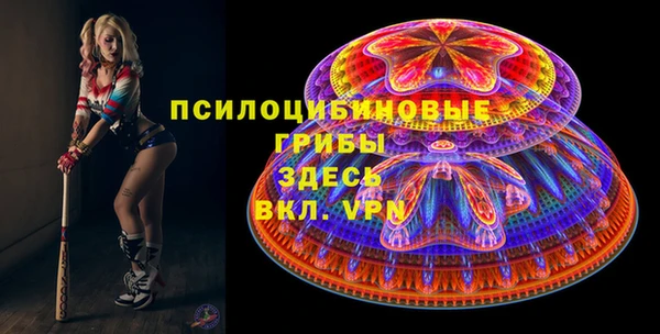 дживик Гусиноозёрск