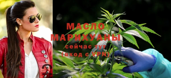 твердый Ельня
