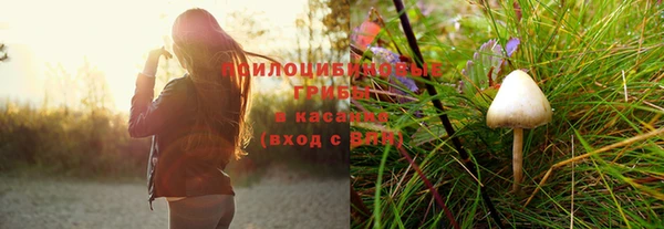 соль ск Елабуга