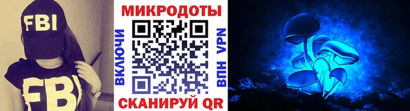 Псилоцибиновые грибы Psilocybine cubensis  Купить где  Мегион 