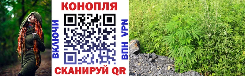 Купить где  Мегион  Марихуана VHQ 